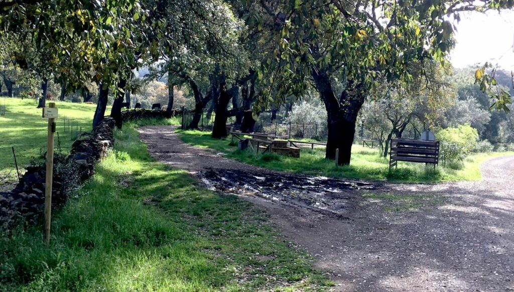 El Rebollar (Corteconcepción - Aracena)