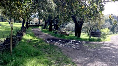 Camino de las bestias