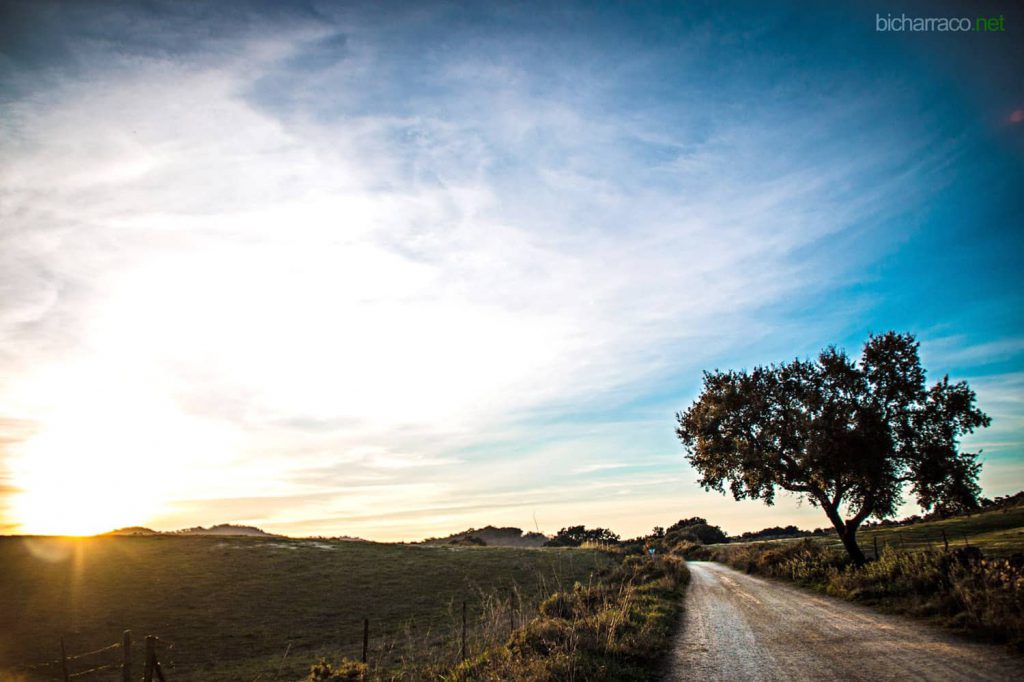 Camino de las bestias