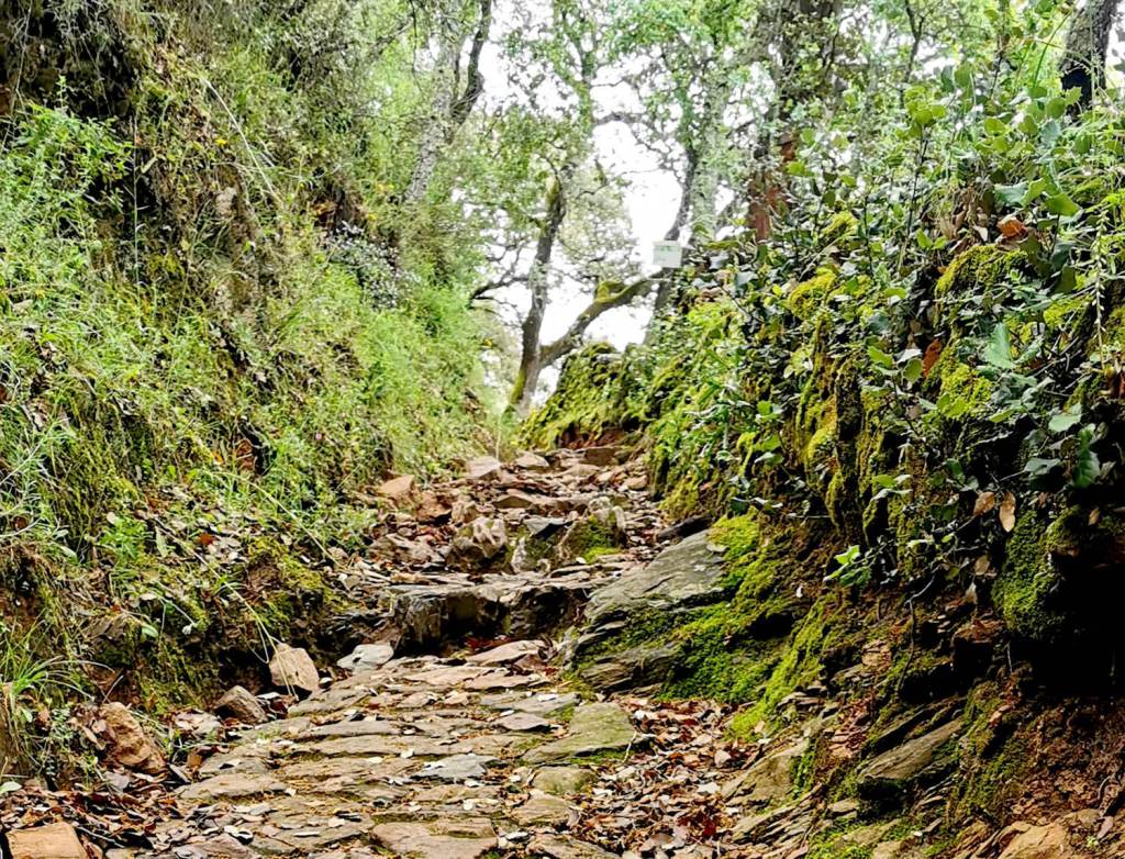 La Fuente del Rey (Corteconcepcion - Aracena)