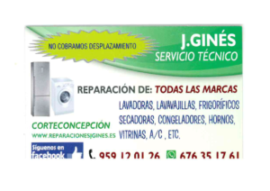 J. Ginés Servicio Técnico