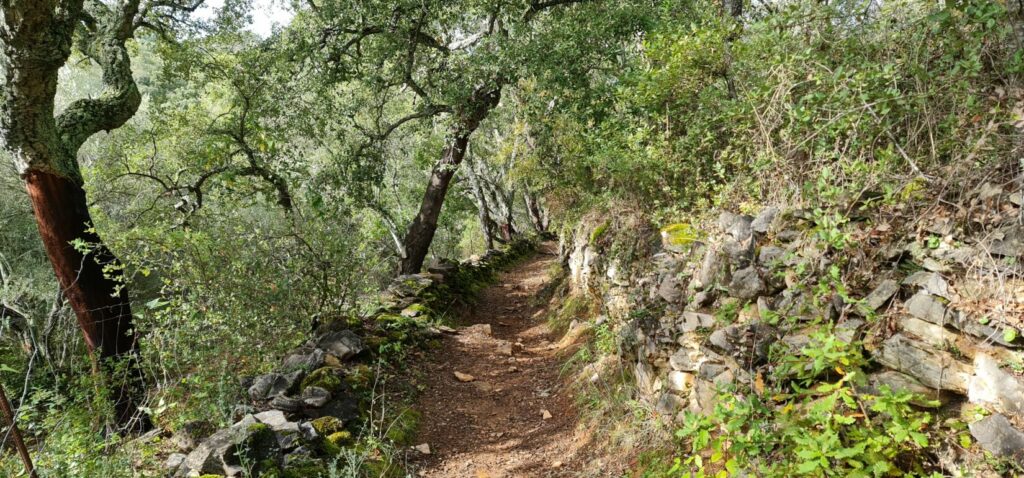 SENDERO - CASCADA DE LOS MOLINOS