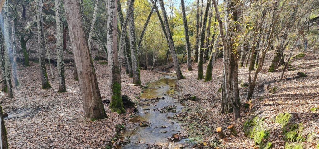 SENDERO - CASCADA DE LOS MOLINOS