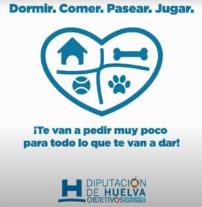 Campaña de Fomento de Adopciones | Diputación Provincial de Huelva