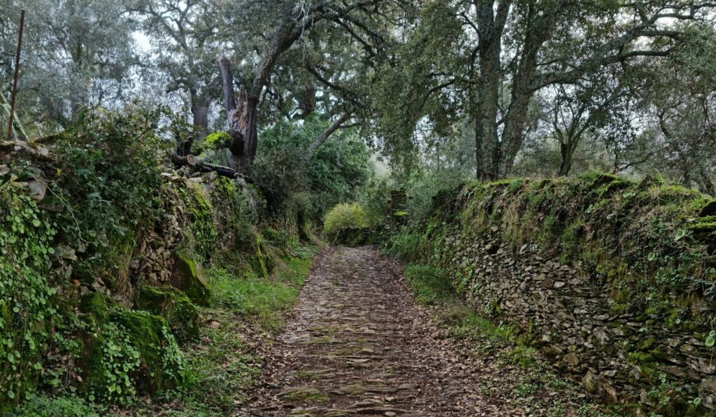 Camino de las bestias