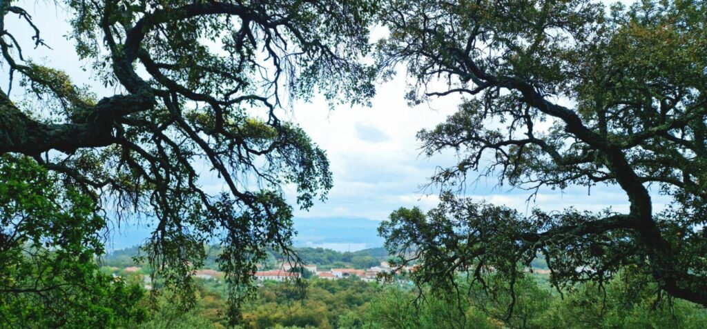 Circular "Camino Medroso"