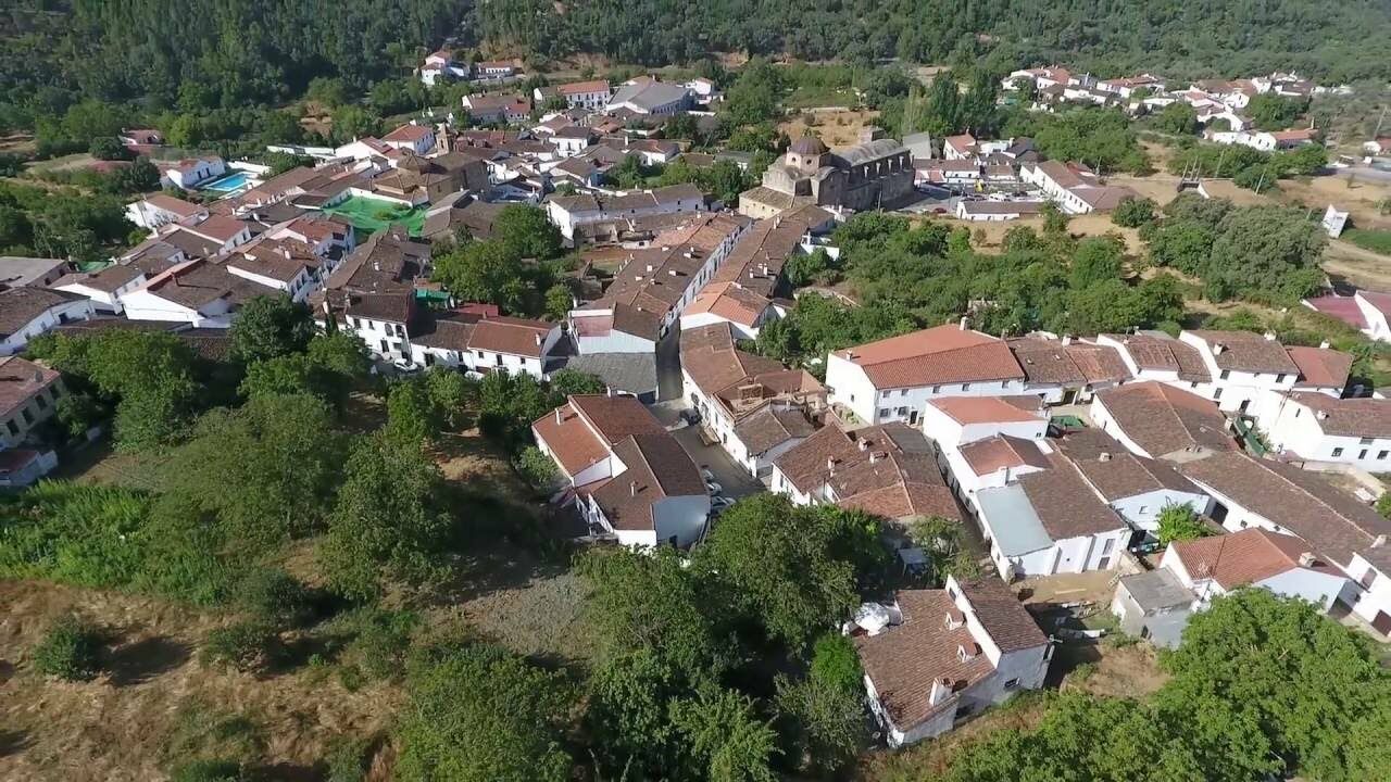 casta o del robledo sierra de aracena y picos de aroche casta o del robledo sierra de aracena y picos de aroche