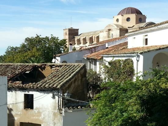 castano-del-robledo