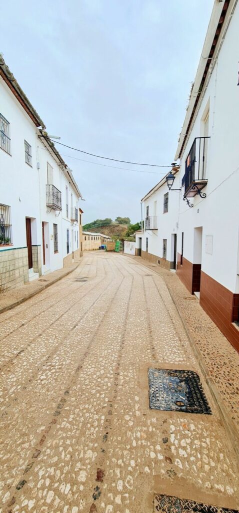 REAPERTURA CALLE RAMÓN Y CAJAL