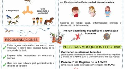 INFORMACIÓN ACERCA SOBRE EL VIRUS DEL NILO OCCIDENTAL – MOSQUITO. ℹ️ℹ️