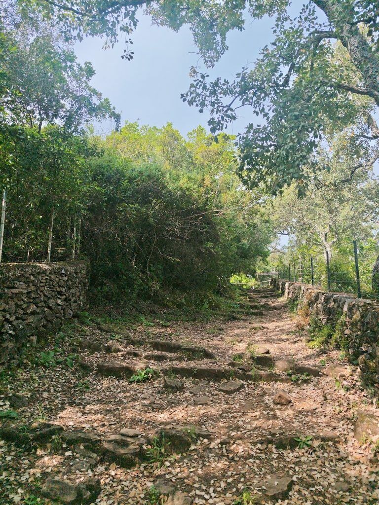 PLAN INFRAESTRUCTURAS 2025 DE LA DIPUTACIÓN PROVINCIAL DE HUELVA 🚧🧹🚜