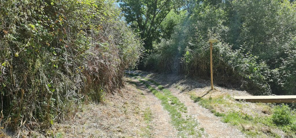 PLAN INFRAESTRUCTURAS 2025 DE LA DIPUTACIÓN PROVINCIAL DE HUELVA 🚧🧹🚜