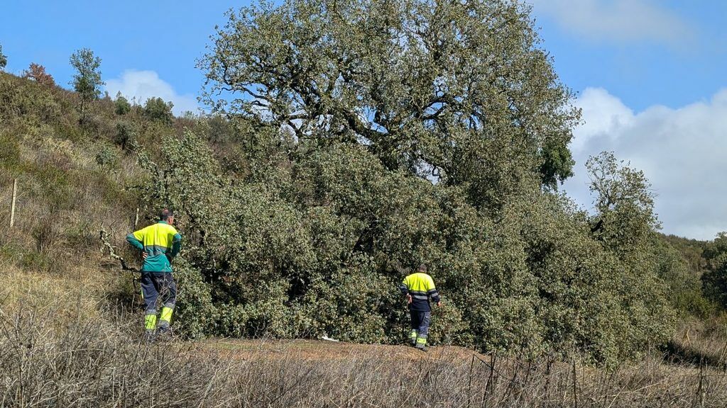 PLAN INFRAESTRUCTURAS 2025 DE LA DIPUTACIÓN PROVINCIAL DE HUELVA 🚧🧹🚜