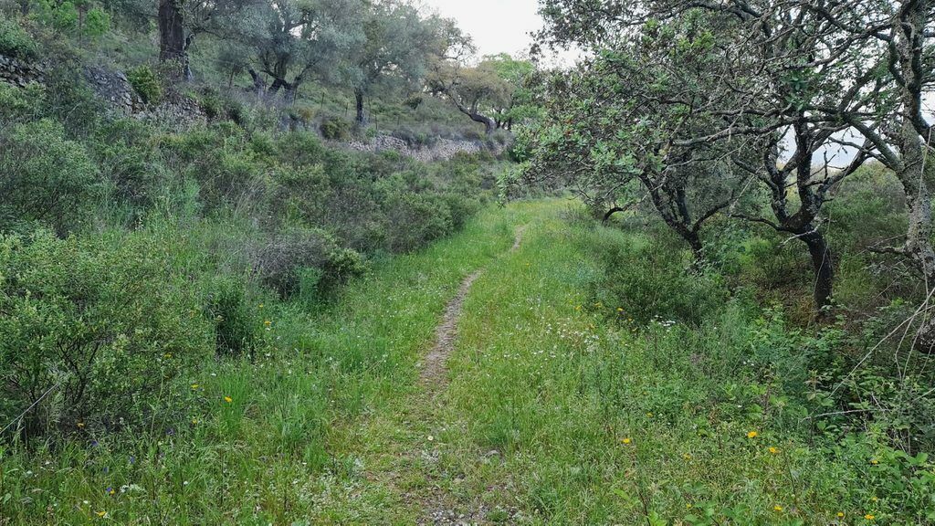 PLAN INFRAESTRUCTURAS 2025 DE LA DIPUTACIÓN PROVINCIAL DE HUELVA 🚧🧹🚜