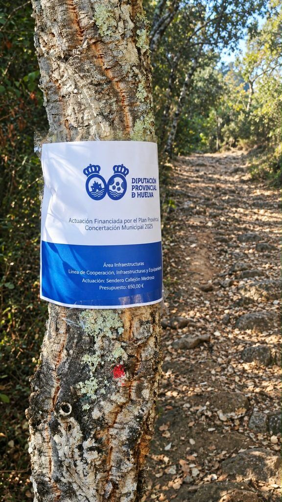 PLAN INFRAESTRUCTURAS 2025 DE LA DIPUTACIÓN PROVINCIAL DE HUELVA 🚧🧹🚜
