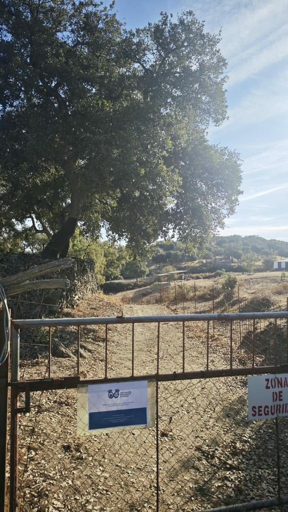 PLAN INFRAESTRUCTURAS 2025 DE LA DIPUTACIÓN PROVINCIAL DE HUELVA 🚧🧹🚜