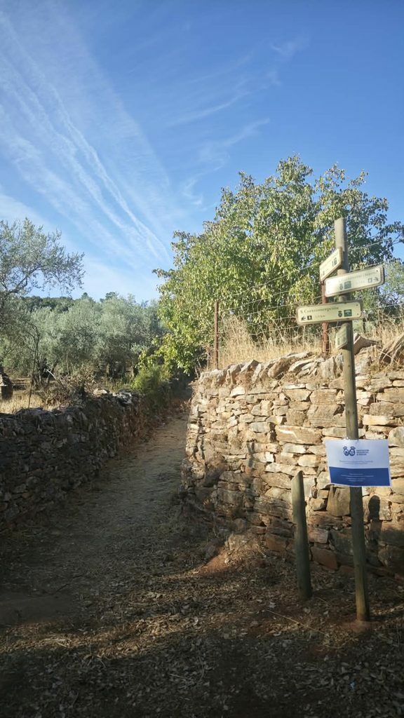 PLAN INFRAESTRUCTURAS 2025 DE LA DIPUTACIÓN PROVINCIAL DE HUELVA 🚧🧹🚜